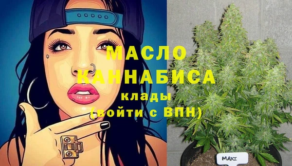 соль ск Кулебаки